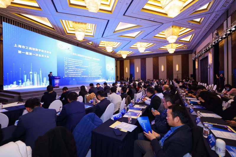 上海市工商联数字经济商会正式成立，海纳数科成为首批会员单位